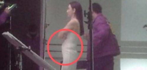 香港娱乐爆料记者,揭秘明星幕后故事